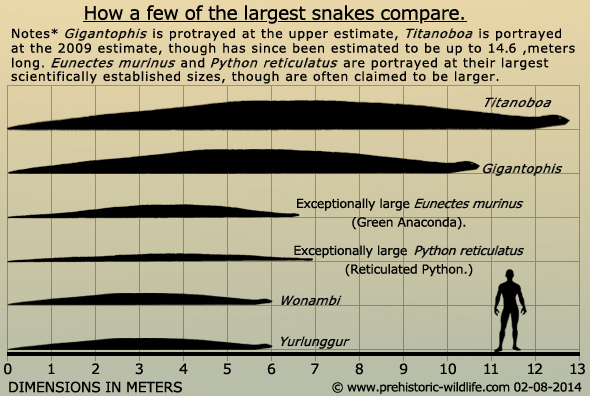 giant-prehistoric-snakes